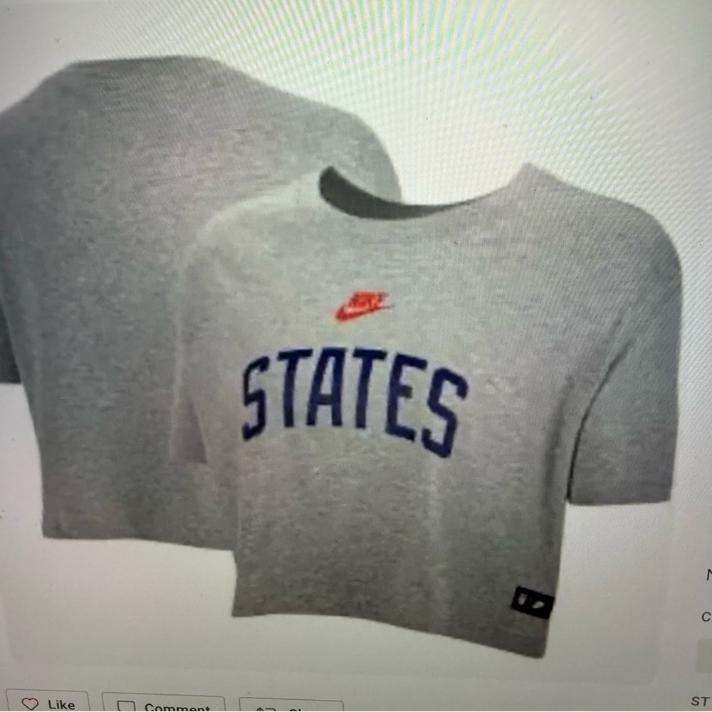 Nike Gray Crop Top with blue states logo women’s XL